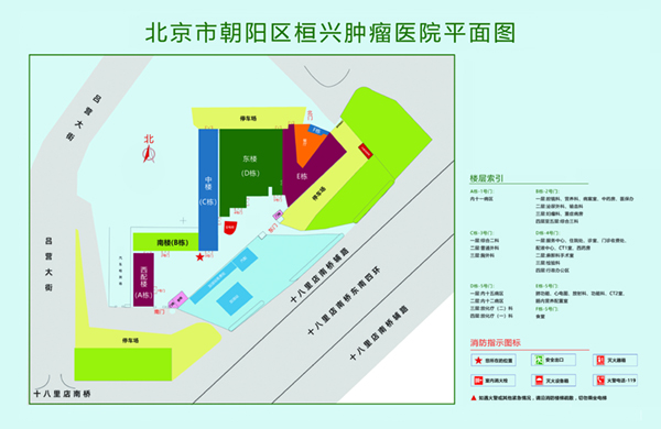 日逼逼日逼逼日逼逼北京市朝阳区桓兴肿瘤医院平面图